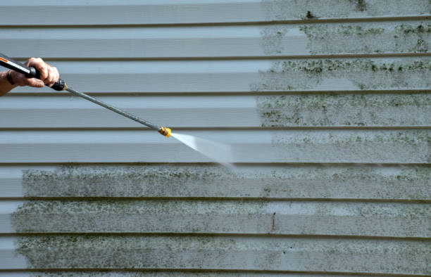 Mold Testing and Removal in Albion, NY