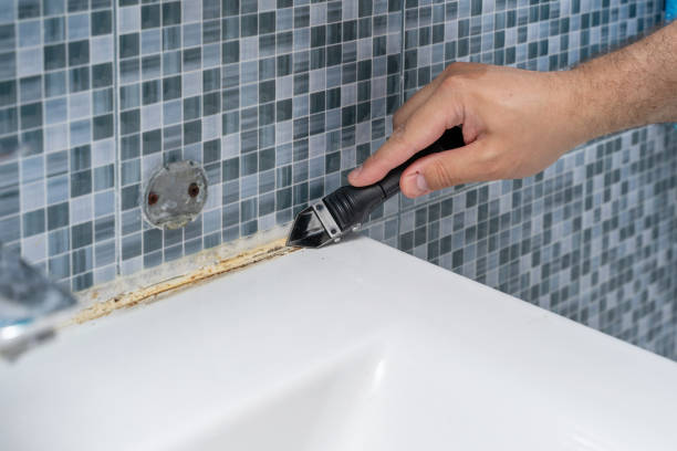 Best Residential Mold Removal  in Albion, NY
