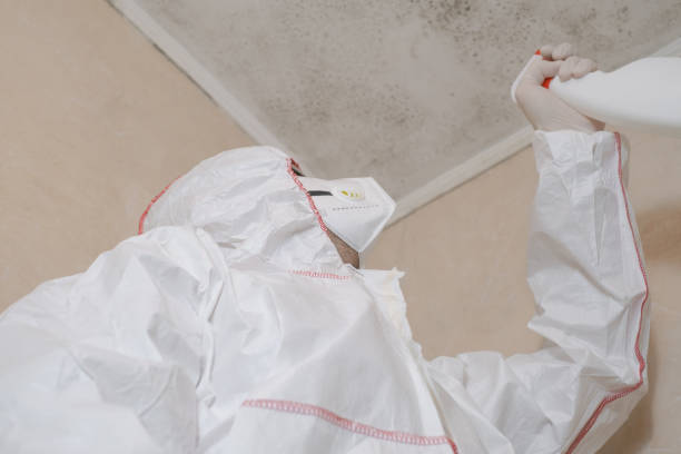 Best Professional Mold Removal  in Albion, NY