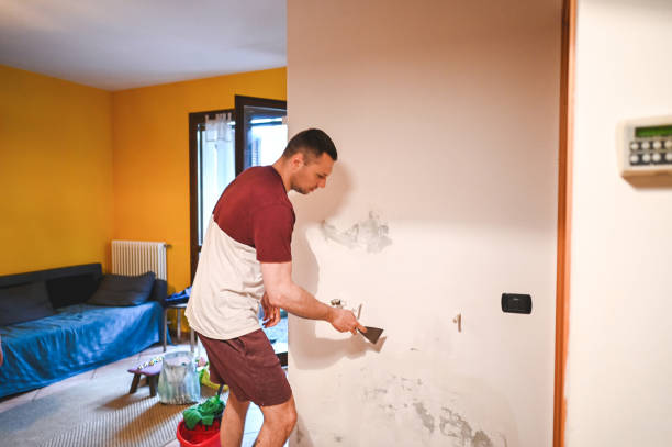 Reliable Albion, NY Mold Removal Solutions